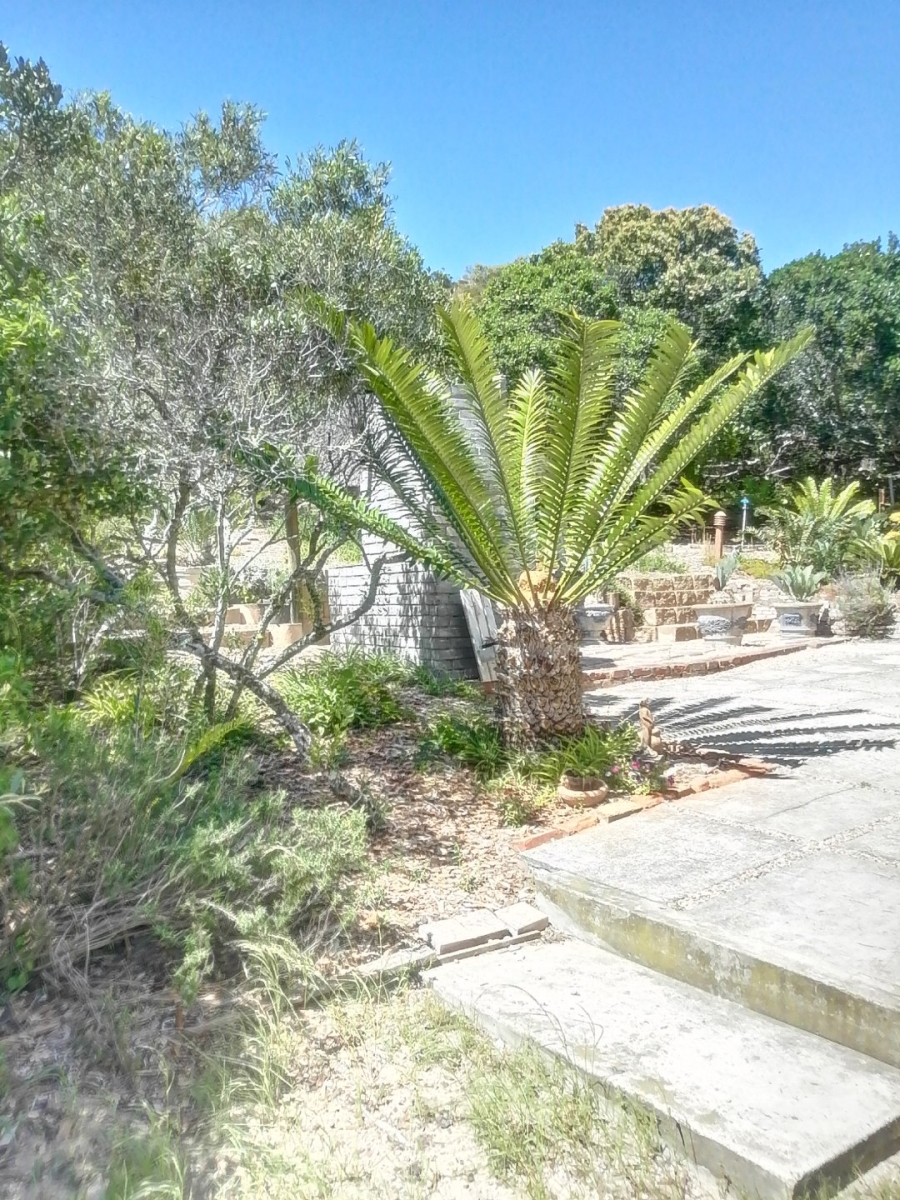 To Let 4 Bedroom Property for Rent in Cola Beach Western Cape